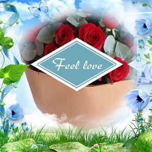 Meet your Posher, Armando